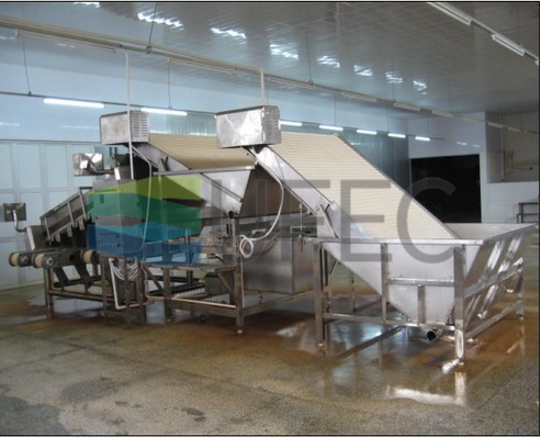 Fully Automatic Stainless Steel Shrimp Sorting Machine for Multiple sizes